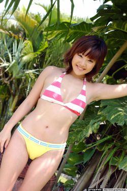 为有暗香来原著小说