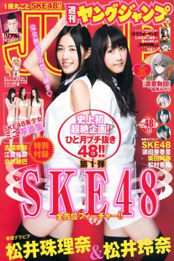 妻子3免费版电视剧