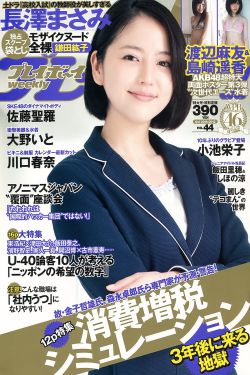 九重紫电视剧免费